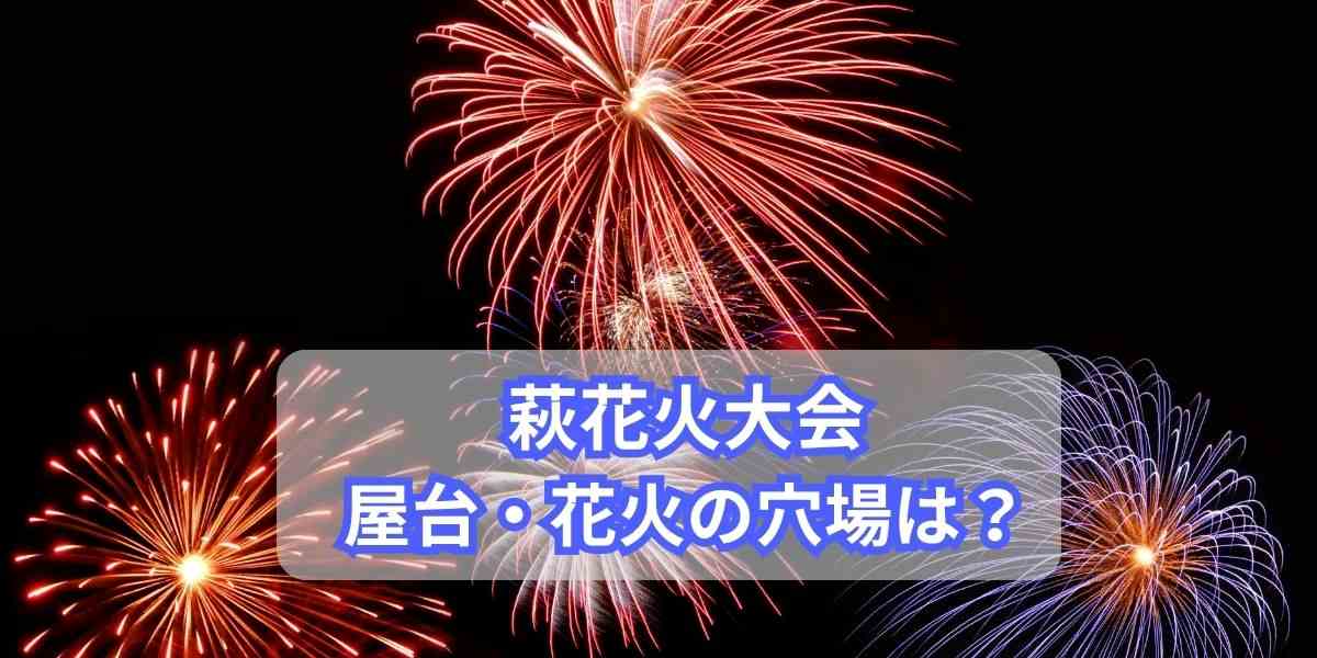 萩花火大会の屋台と穴場スポット情報！駐車場や交通規制・アクセスについても！