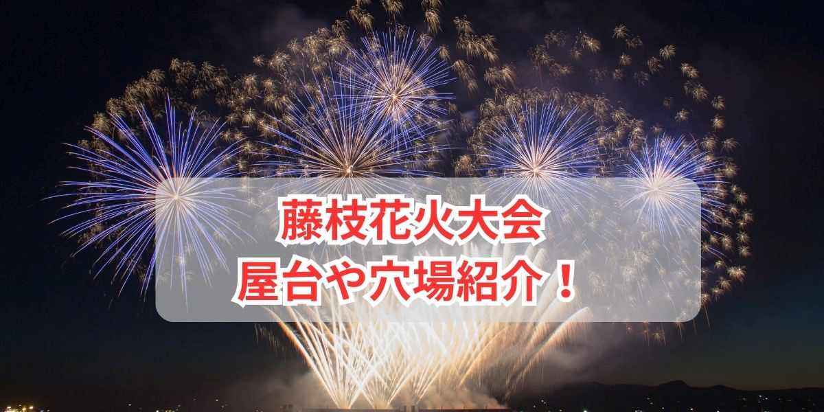 藤枝花火大会屋台や穴場の場所は？ 駐車場やアクセス・シャトルバス情報も！