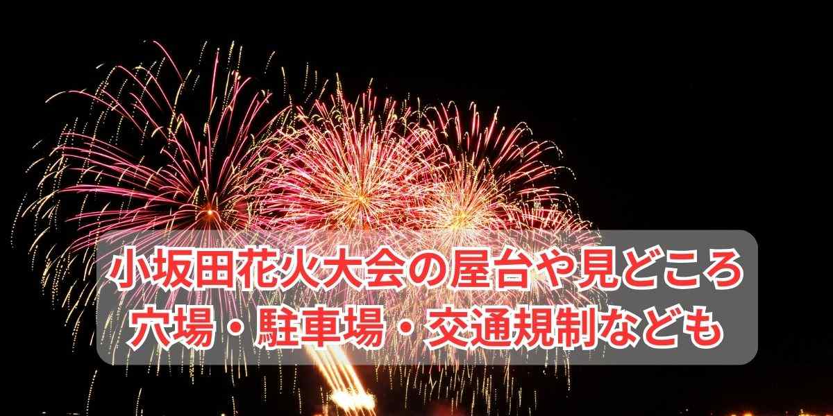 小坂田公園花火大会屋台情報！見どころや穴場・駐車場・アクセスまで完全網羅！