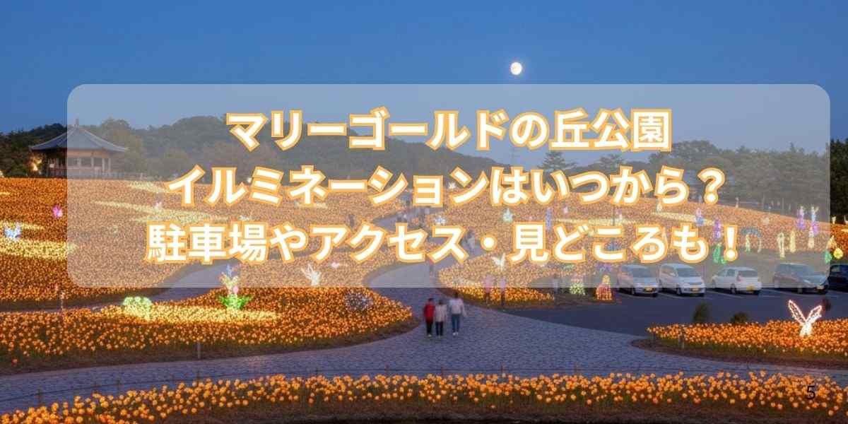 マリーゴールドの丘公園イルミネーションはいつから?駐車場やアクセス・見どころも完全ナビ!